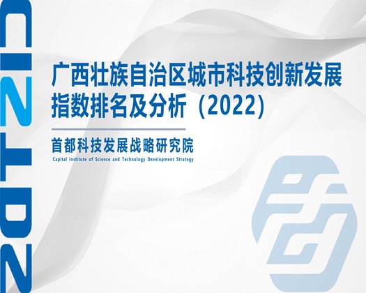 黑屌日批视频【成果发布】广西壮族自治区城市科技创新发展指数排名及分析（2022）